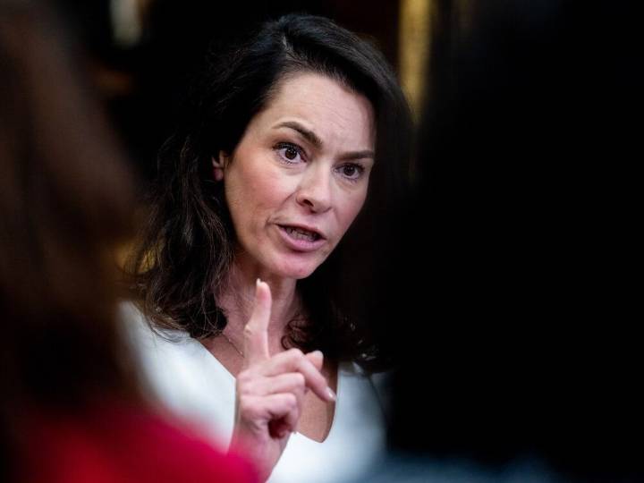 NDP leadership hopefuls at odds over 'purity test' framing