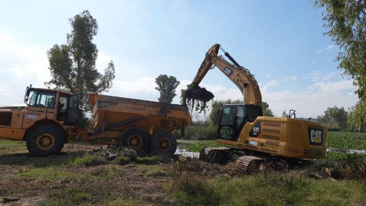 Momento histórico en Badajoz: comienza la retirada de lodo del Guadiana contra el nenúfar