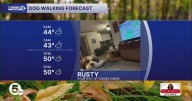 Your October 23 dog walking forecast