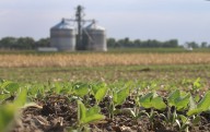 Farmers’ mental health needs focus of Minnesota program