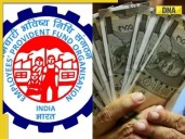 EPFO plans BIG Diwali gift for pensioners? May hike minimum pension under EPS
