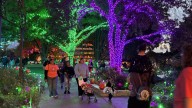 Crowd enjoys pumpkin trail's opening night at Amarillo gardens