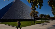 Cal State Long Beach student stabbed to death. Roommate charged with murder