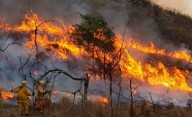 Bomberos luchan contra las llamas en el Parque Nacional Quebrada de Condorito