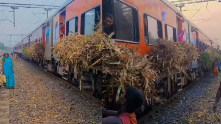 Hybrid Of Tractor And Train’: Bihar Villagers Load Sugarcane Into Coaches Ahead Of Chhath Puja