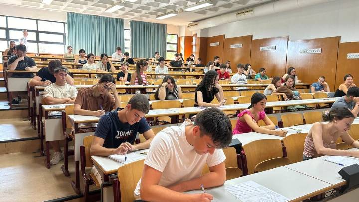 El Gobierno tumba el plan del Consell para que Valenciano sea optativa en Selectividad