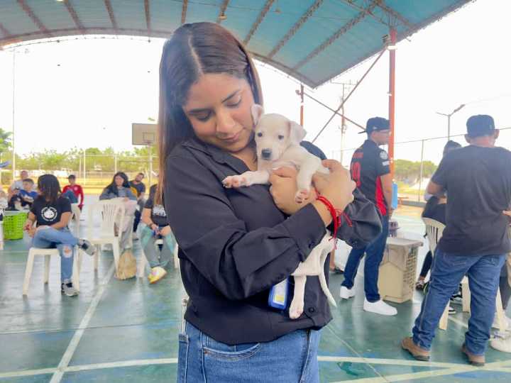 Programa «El Ministerio Público Defiende tu mascota” junto a la Misión Nevado y Umpasfa realizan jornada de atención veterinaria en la parroquia San Francisco