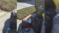 Woman In Texas Returns Home From Work And Encounters A Shocking Surprise By Her Trash Can