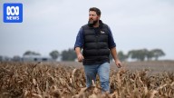 Bayer announces plans for Australian rollout of new weed