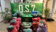 Incautan cerca de 150 kilos de droga en tres procedimientos policiales en la V Región