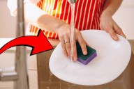 Muchos no lo saben, pero hay varios tipos de fibras para trastes: así puedes identificarlas y usarlas correctamente