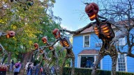 Halloween and fall activities happening in the Oakland County area