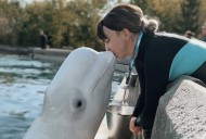 ‘We need to get them out’: Beluga trainer fired by Marineland speaks out