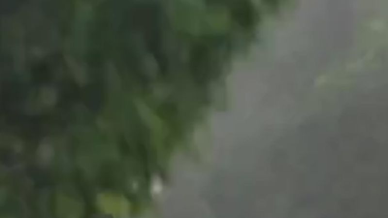 All the ways Melissa made records