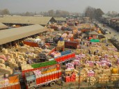 A Kashmir Apple Consignment worth Rs 20 Lakh Lost Rs 40 Lakh in Marketing Chain