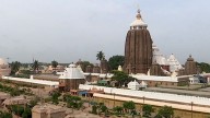 Organic rice to be used in Abadha Mahaprasad at Puri Jagannath temple from upcoming Rath Yatra