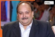 Fugitive Mehul Choksi's return to India confirmed as Belgian court rules in India's favour, but still has a big chance to...