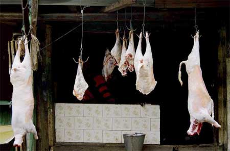 Jammu Kashmir Produces More Milk but Faces Huge Mutton Deficit