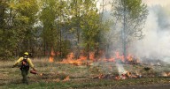 Lane County's Howard Buford Park trails closed for prescribed burn
