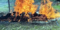 Campamentos de minería ilegal fueron neutralizados en Amazonas