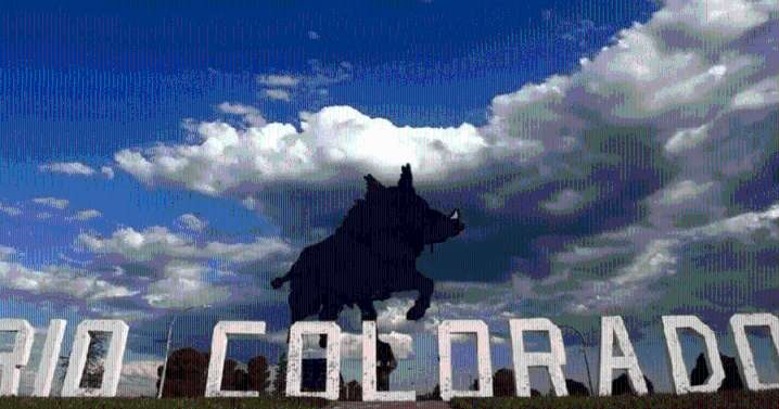 Río Colorado: el intendente Minieri y la baja de la planta del personal por encima del 50%