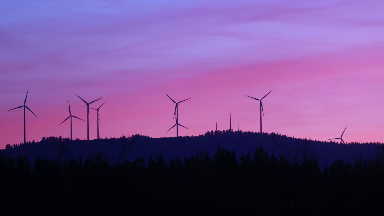 El TSXG apuntala la paralización del parque eólico Monte Contado con un nuevo auto