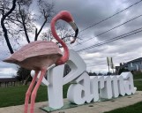 Pink Flamingo is Parma's official mascot
