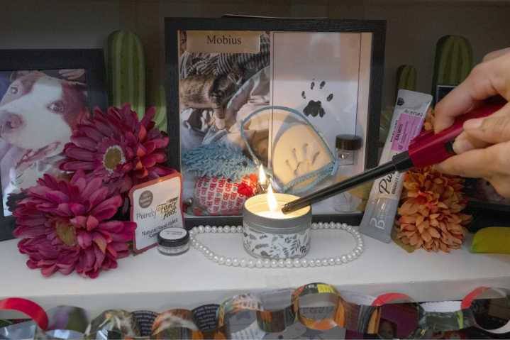 ‘Ofrendas’ pay tribute to departed pets