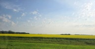 SaskAgToday.com Roundtable: war of words over tariffs
