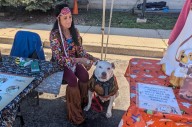 Fur-Fall-Palooza at Animal Welfare League showcases adoptable pets