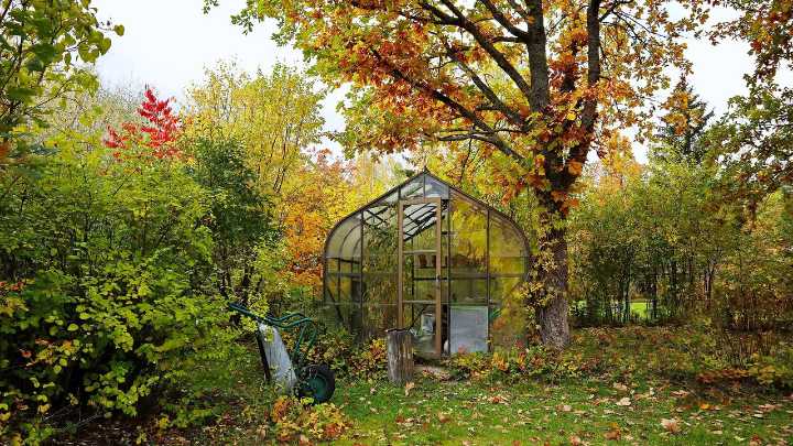 9 garden tasks you should do in October