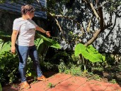 El misterio detrás de la lápida romana de 1.900 años que encontraron en un jardín residencial en New Orleans