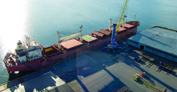 Grain drives port activity