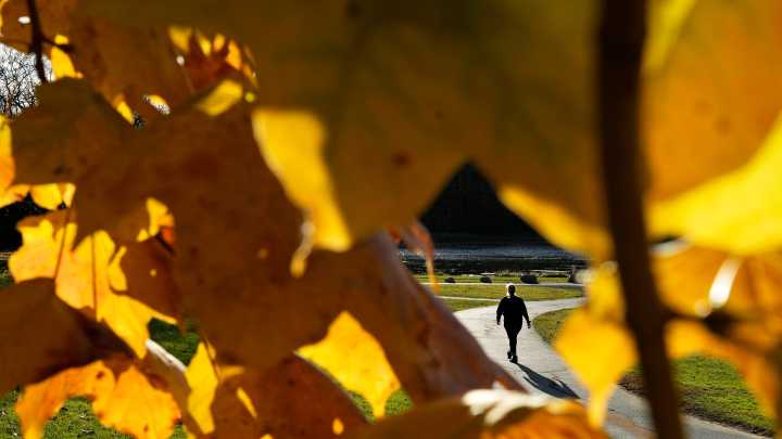 A dark and windy Halloween night expected in Greater Akron