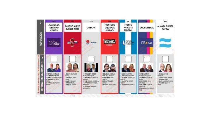 La Justicia rechazó la reimpresión de boletas de La Libertad Avanza en Buenos Aires: quedará la foto de Espert