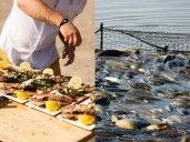 La pesca y acuicultura en México: importancia y oportunidades de desarrollo