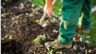 The Department of Health warns WA gardeners to take care with potting mix as Legionnaires risk rises in spring