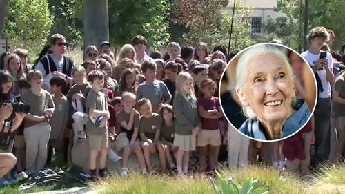 Dr. Jane Goodall dies just before scheduled Pasadena event