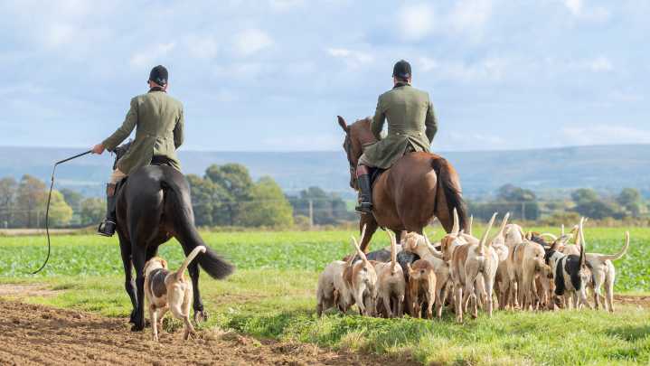 Hounds in full cry as MPs back national trail