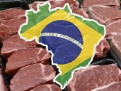 Rusia incrementó el 25 por ciento sus compras de carne a Brasil