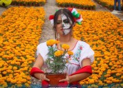 EL CEMPASÚCHIL ILUMINA EL CAMPO MEXIQUENSE; RECIBE IMPULSO