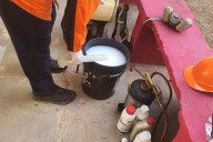 Evacúan estudiantes por plaga de garrapatas en secundaria de Chetumal