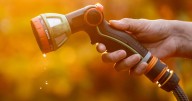 Hosepipe ban still in force for millions of Brits despite weeks of rain
