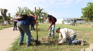 Participan 37 mil personas en jornadas verdes en Sinaloa