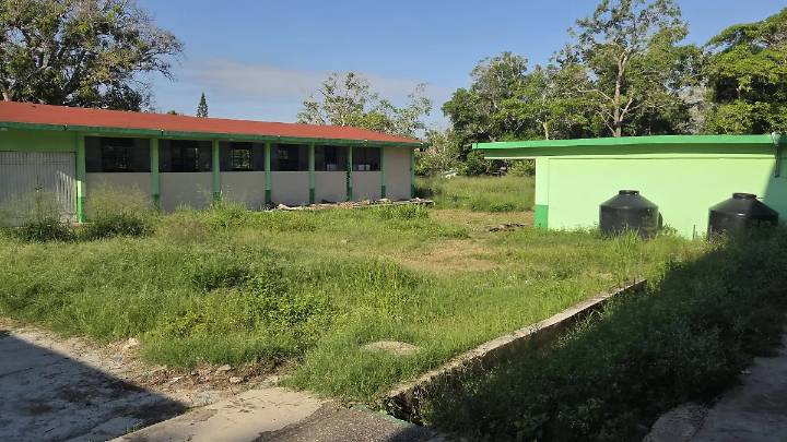 Maleza de más de un metro en la Secundaria Técnica 64: padres temen por la seguridad del alumnado