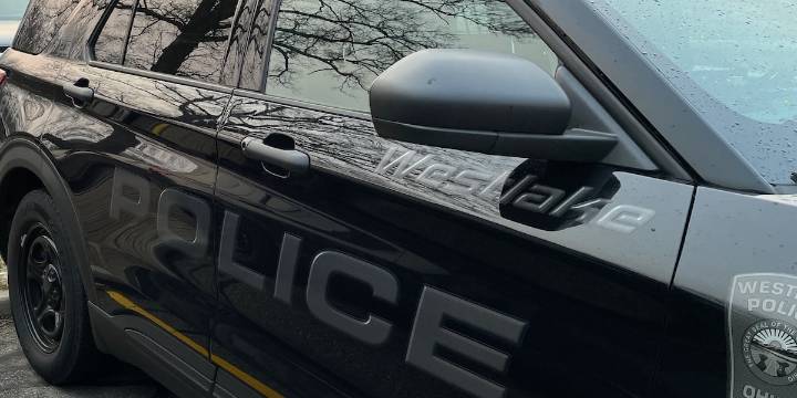 Westlake crossing guard dies after hit by vehicle