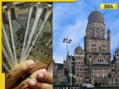 Diwali bonus for BMC these employees! To receive ex-gratia payment of Rs 31,000