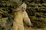 Why Is Harassing Bigfoot Illegal In Washington State?
