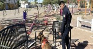 Operativos de la PESP dejan siete detenidos y decomiso de narcóticos en Hermosillo