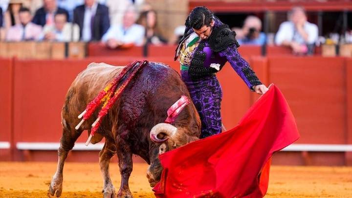 Morante se borra de la Feria del Pilar, Castella dará la alternativa a Cristiano Torres con Fernando Adrián como testigo